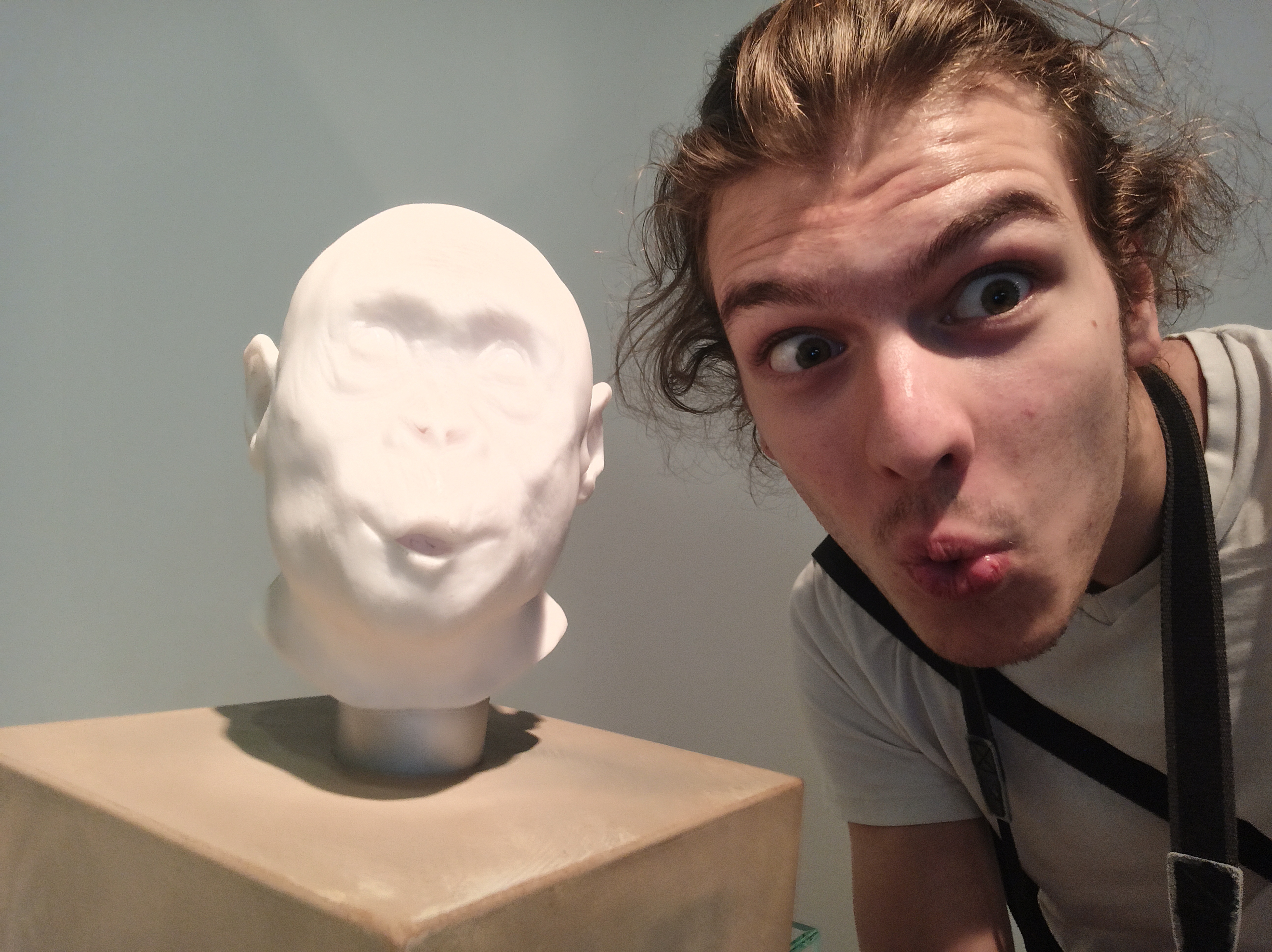 Természet Múzeum Majom