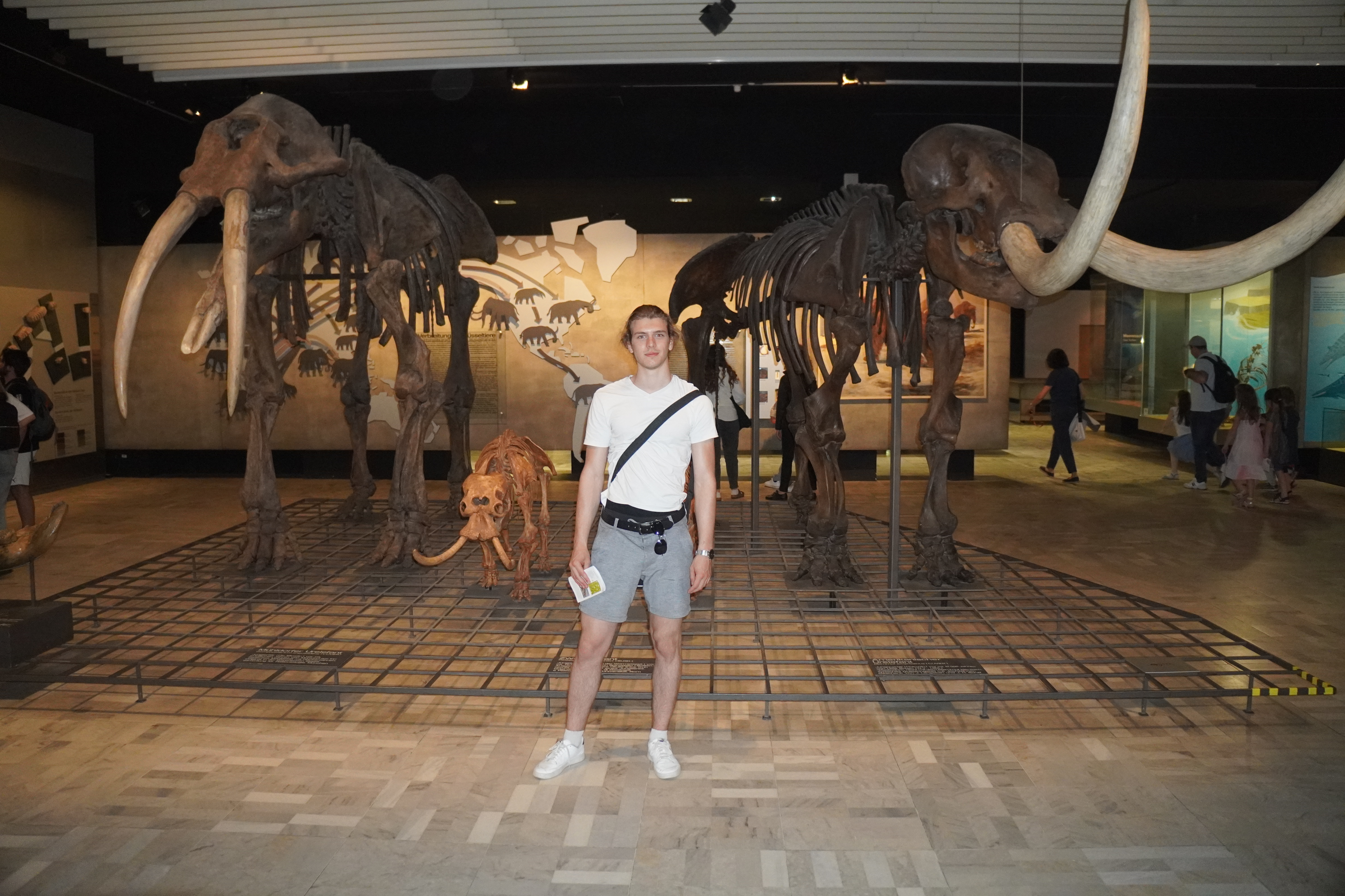 Természet Múzeum Mamutok
